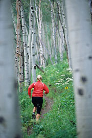 Beim Trailrunning geht es durch Wald und Felder (Foto: Istockfoto)